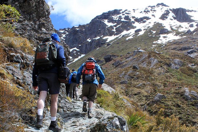 Routeburn Track Guided Hike (Full Day) - Why the Routeburn Track is worth a full day