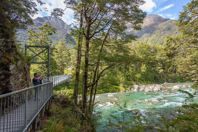 Routeburn Track Guided Hike (Full Day) - Southern beech forest and native wildlife