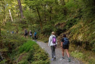 Routeburn Track Guided Hike (Full Day)