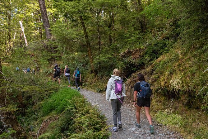 Routeburn Track Guided Hike (Full Day) - Routeburn Canyon and the river section