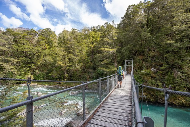 Routeburn Track Guided Walk (Half-Day) - A gentle section of a famous Great Walk