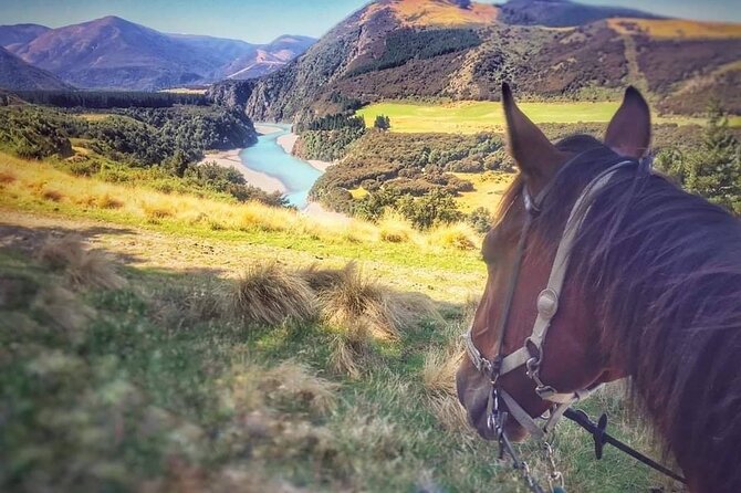 Rubicon Valley Horse Treks - 2 Hour River Trail Horse Trek - What the two-hour pace feels like