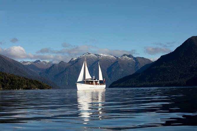 Scenic Cruise & Guided Walk on Historic Motor Yacht Lake Te Anau - Key points at a glance