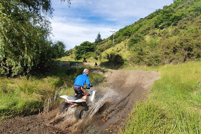 Scenic Guided eBike Tour Ride to the Lake - A forest filled with local sculptures