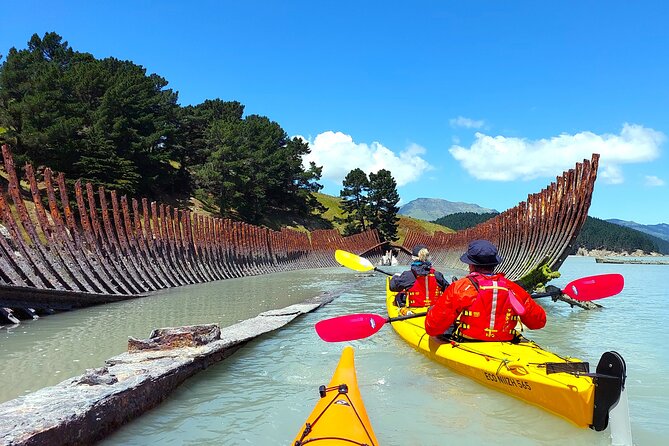 Sea Kayaking Christchurch, Lyttelton Harbour & Quail Island - Quail Island, sea caves, beaches, and the Ship’s Graveyard