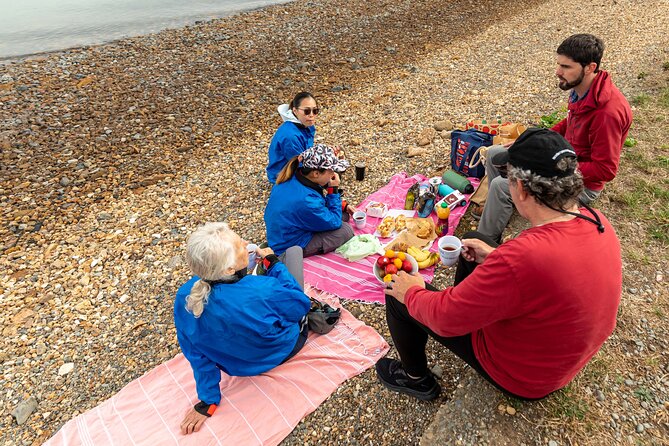 Sea Kayaking Christchurch, Lyttelton Harbour & Quail Island - Lunch on the beach and a flexible afternoon