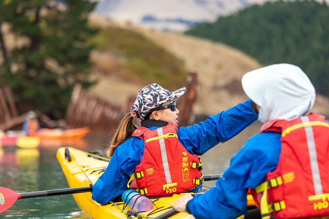 Sea Kayaking Christchurch, Lyttelton Harbour & Quail Island - Timing your Christchurch day around the tour