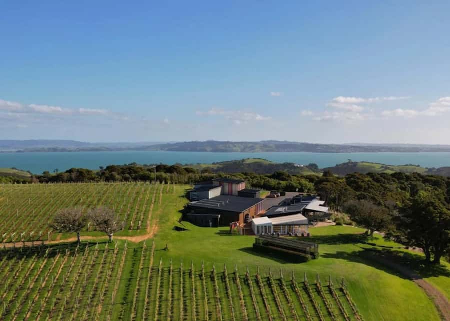 Sea, Land & Sky Premium Package - Batch Vineyard and the glass of wine