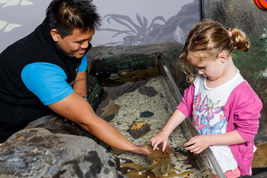 Sea Life Kelly Tarlton's Aquarium General Admission - Rockpools, turtles, and interactive learning