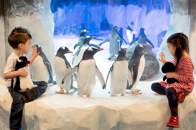 SEA LIFE Kelly Tarlton's General Admission - Penguins First: The Antarctic Encounter