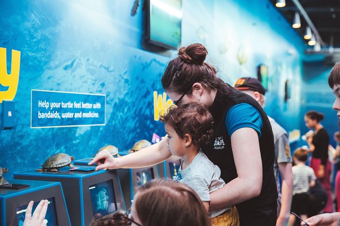 SEA LIFE Kelly Tarlton's General Admission - Why the Aquarium Works Well With Children