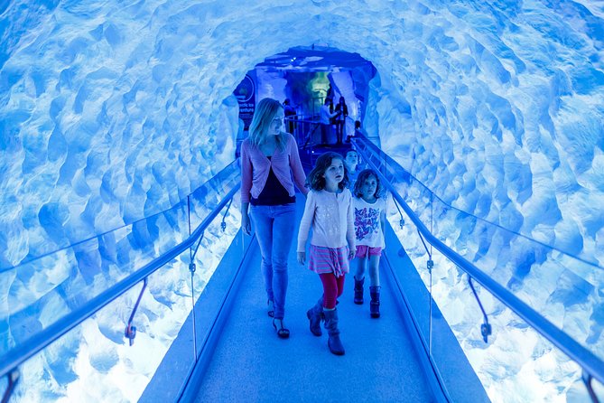 SEA LIFE Kelly Tarlton's General Admission - Timing, Tickets, and Small Practical Tips