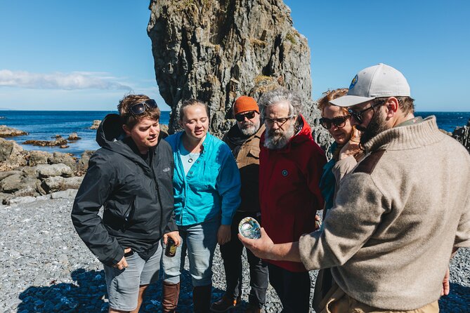 Seal Coast Safari - Exclusive access to Wellington's secret coast - Why this coast is worth the effort