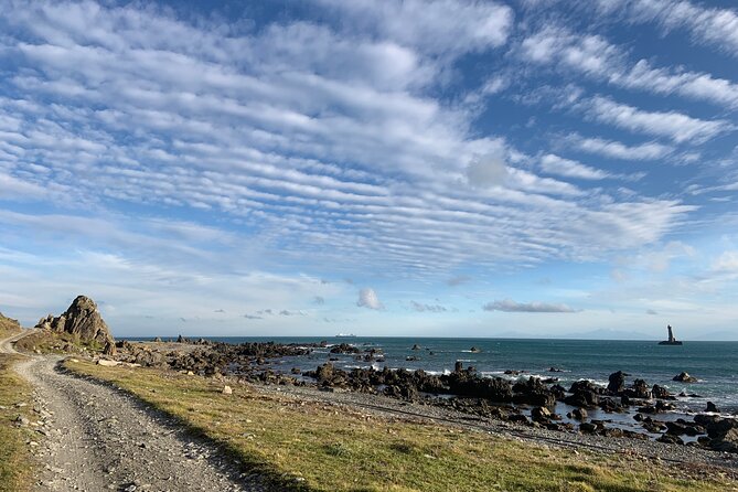 Seal Coast Safari - Exclusive access to Wellington's secret coast - Descending to Cape Terawhiti and Karori Rock