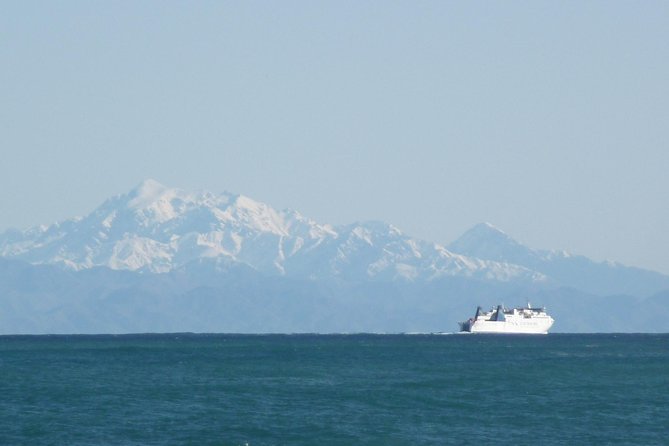 Seal Coast Safari - Exclusive access to Wellington's secret coast - Who will enjoy this tour most