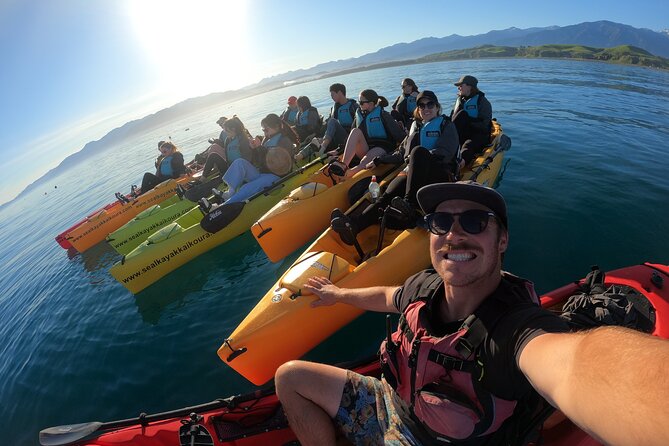 Seal Kayaking Adventure in Kaikoura - What the Guides Add