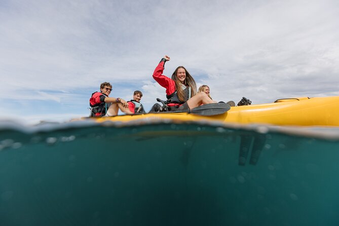 Seal Kayaking Adventure in Kaikoura - How Much Physical Effort Is Involved?