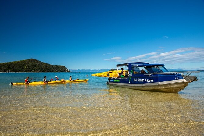 Seal Sanctuary Tour - Guided Kayaking - New Zealand - A Beach Lunch With Local Produce