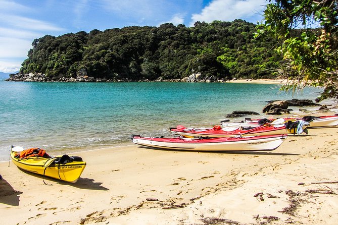 Seal Sanctuary Tour - Guided Kayaking - New Zealand - How the Weather Changes the Day