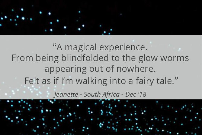 See Auckland's Secret Glow Worms - Seeing the glow worms in their natural setting