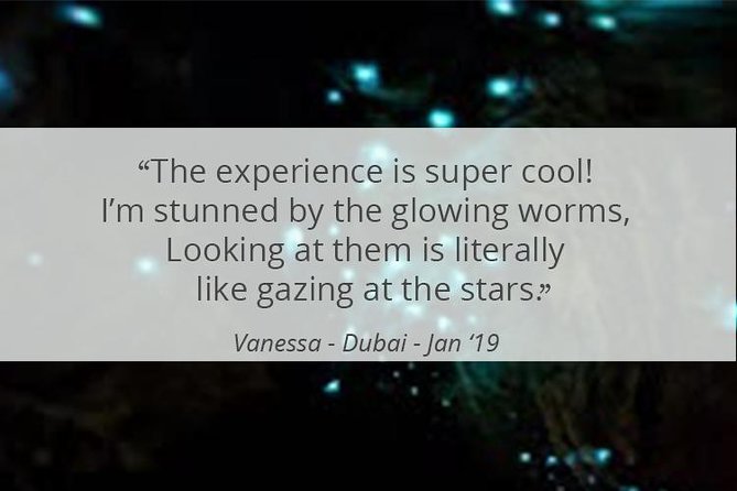 See Auckland's Secret Glow Worms - What the private format changes