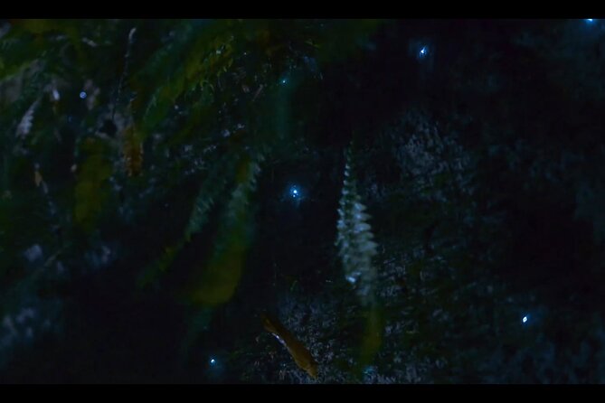 See Auckland's Secret Glow Worms - Kate, Liz, and the guide’s role