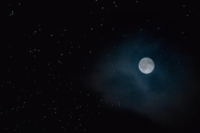 See Auckland's Secret Glow Worms - Is $77.57 good value for 90 minutes?