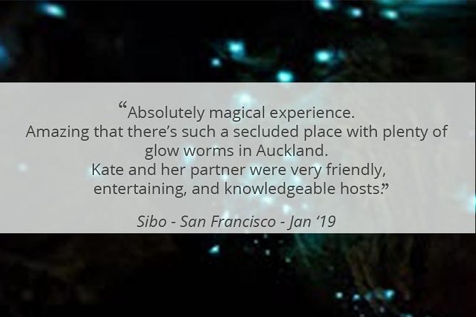 See Auckland's Secret Glow Worms - What to bring and how to prepare