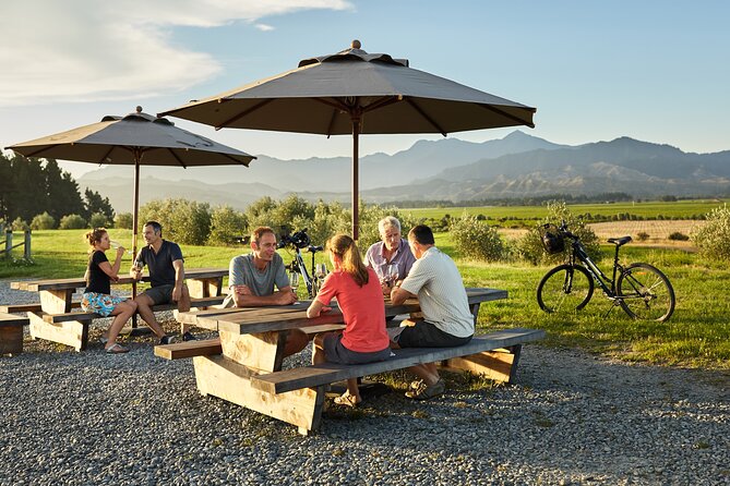 Self-Guided Biking Wine Tour (full day) in the Marlborough Region. - What can make the day less smooth