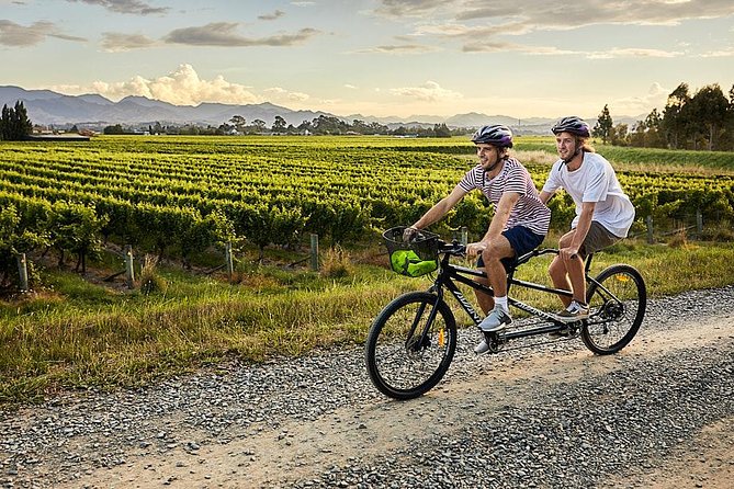 Self-Guided Biking Wine Tour (full day) in the Marlborough Region. - Is the Marlborough bike and wine tour worth booking?