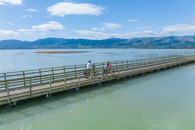 Self-guided E-bike cycle tour with private wine tasting - The ride back and the Mapua option