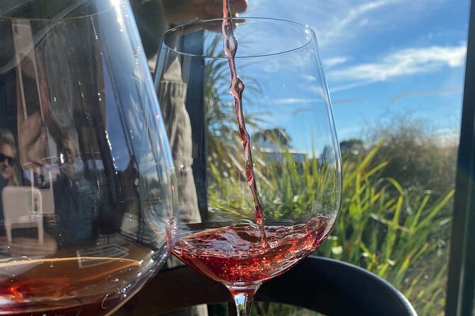 Self Guided Martinborough Wineries Bike Tour - Bikes, baskets, helmets, and the e-bike question