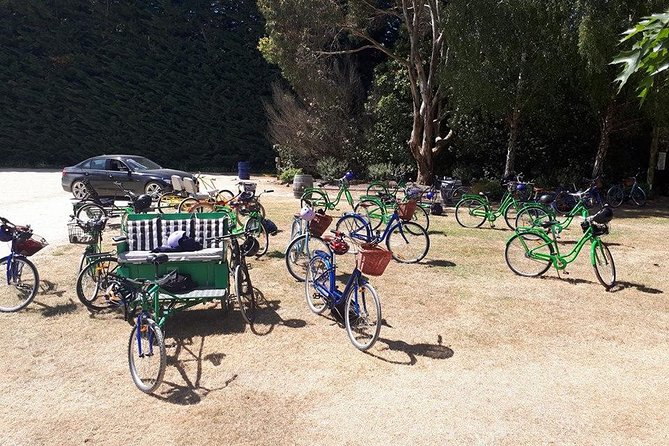 Self Guided Martinborough Wineries Bike Tour - Te Kairanga Wines and the first proper tasting stop