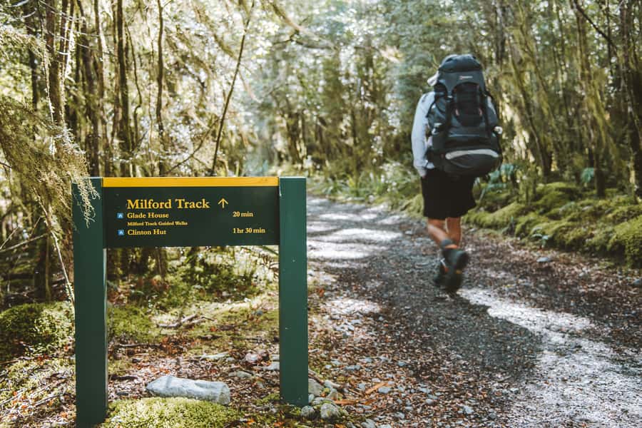 Self-Guided Milford Track Day Walk from Lake Te Anau - Leaving from Te Anau Downs Jetty