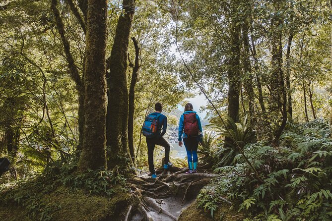 Self-Guided Milford Track Day Walk - Milford Sound - Who will enjoy this walk most