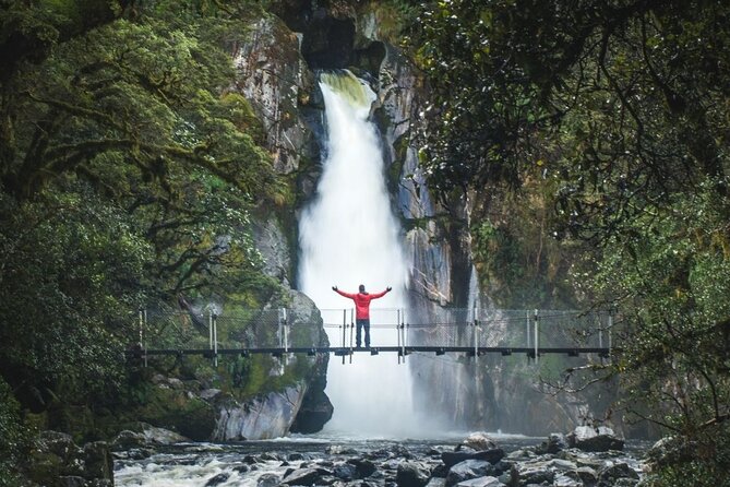 Self-Guided Milford Track Day Walk - Milford Sound - Practical advice for a smoother outing