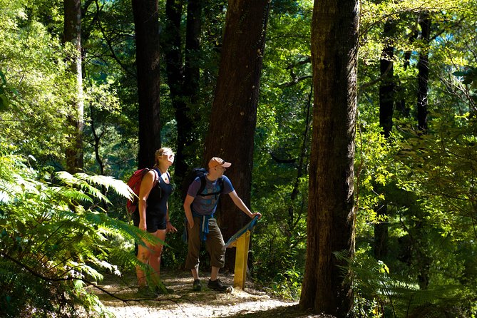 Self-Guided Queen Charlotte Track Walk from Picton - Key points to know before you book
