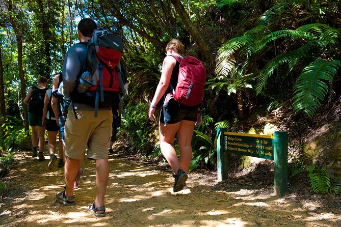 Self-Guided Queen Charlotte Track Walk from Picton - Why this Picton day trip works so well