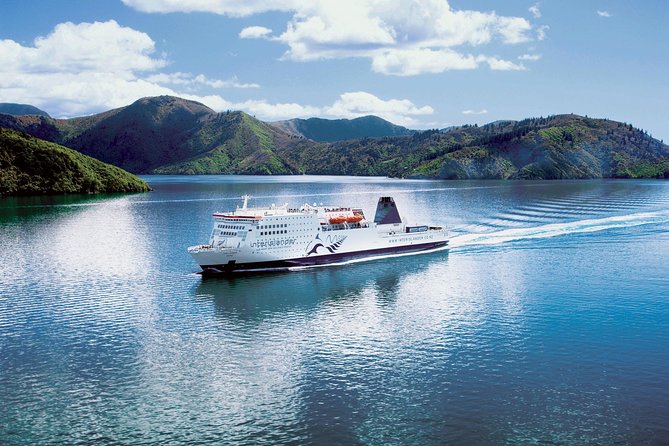 Self-Guided Queen Charlotte Track Walk from Picton - What the track feels like underfoot