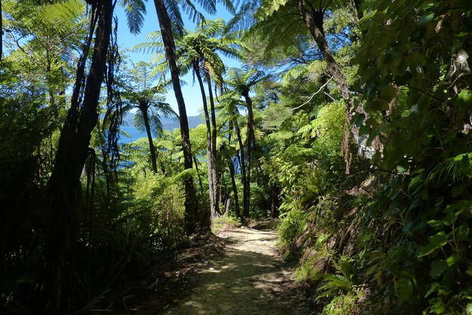 Self-Guided Queen Charlotte Track Walk from Picton - Furneaux Lodge and the practical value of the pickup