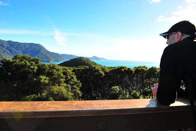 Self-Guided Queen Charlotte Track Walk from Picton - Price, group size, and what you receive