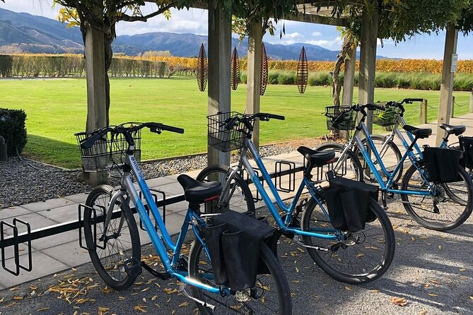 Self-Guided Wine Tours by Bike with Lorelle & Greg - A thoughtful setup for mixed groups