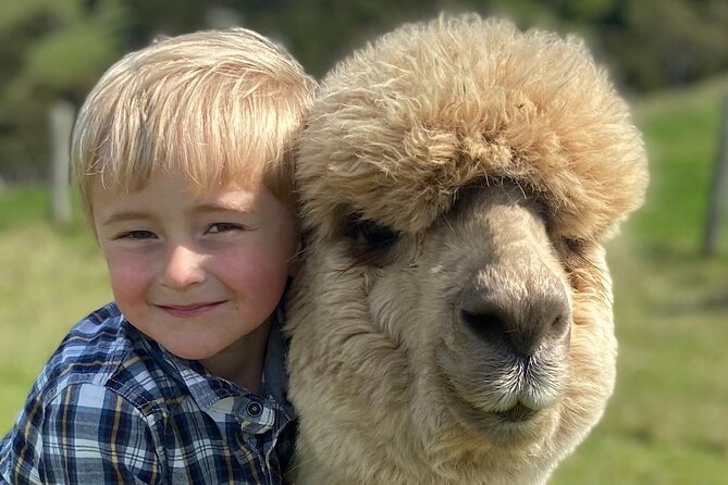 Shamarra Alpaca Farm Tours - Why the guides matter