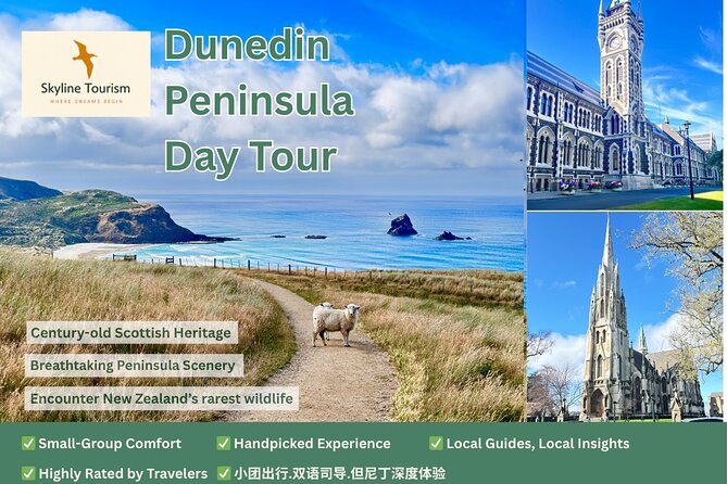 Shared Small Group Dunedin City and Peninsula Scenery Day Tour - Signal Hill gives you the right first look at Dunedin