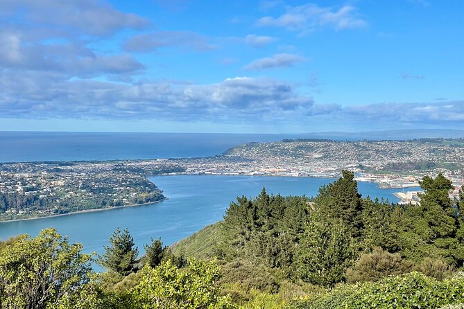 Shared Small Group Dunedin City and Peninsula Scenery Day Tour - Taiaroa Head and the Royal Albatross Centre are the day’s main event