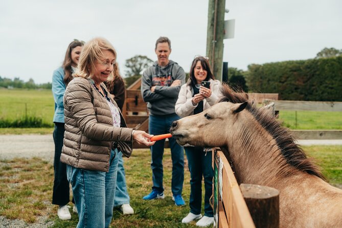 Sheep Farm Day Trip from Christchurch + Lunch and Winery visit. - Who will enjoy this farm and wine day