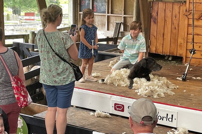 Sheep World Country Tour from Auckland - Forest walks, gardens, beaches, and scenic detours