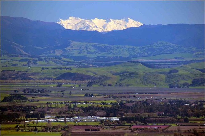Shore Excursion: 4-Hour Discover Hawkes Bay and Napier Tour - Te Mata Peak and the big Hawke’s Bay view