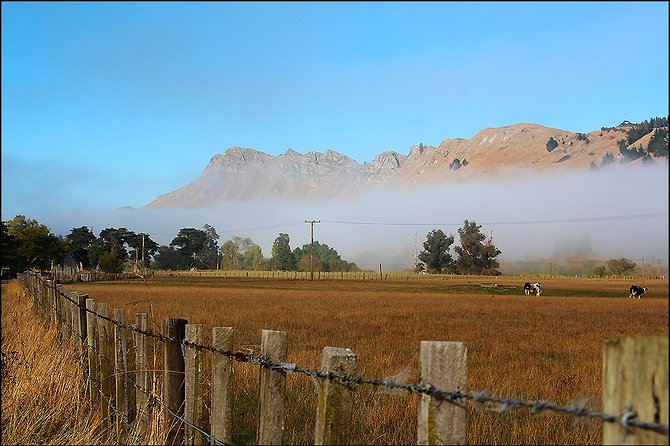 Shore Excursion: 4-Hour Discover Hawkes Bay and Napier Tour - What the commentary is really like