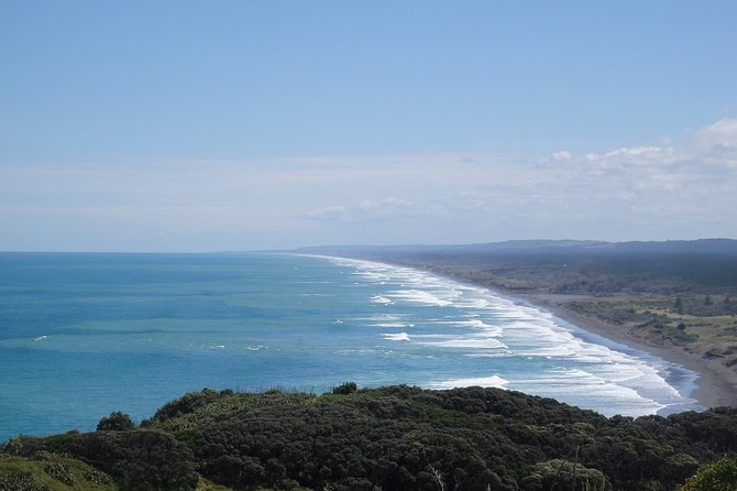 Shore Excursion: Auckland Scenic Full Day Tour - 8 Hours - West Auckland, Muriwai, and the black-sand coast